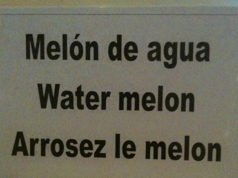 Traduction de water melon